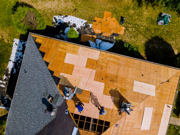Quick and Trustworthy Emergency Roof Repair Services in Louisville, NE