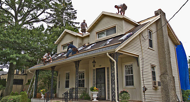Best Best Roofing Contractors  in Louisville, NE